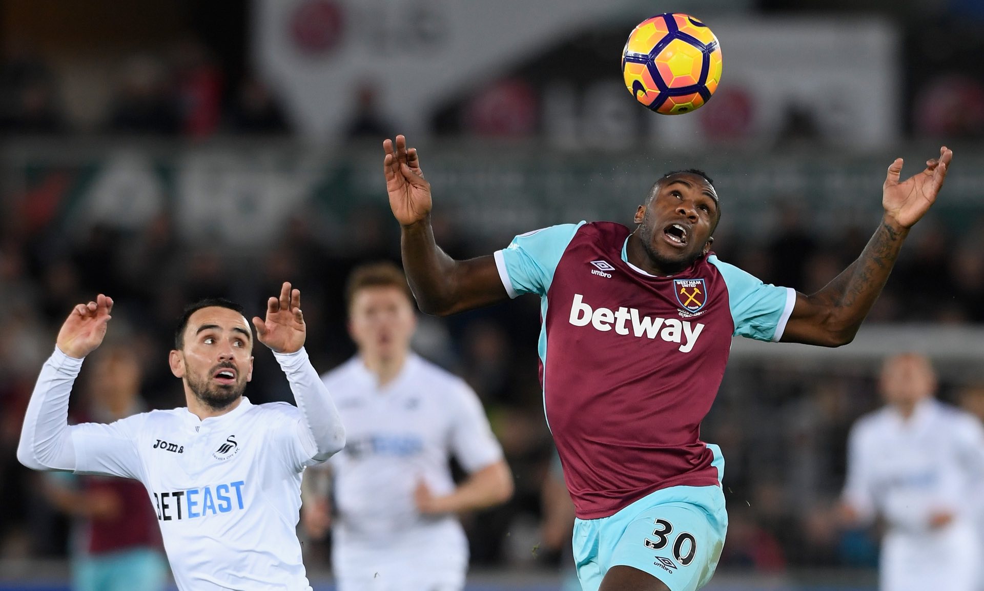 这种冷静而 这种冷静而